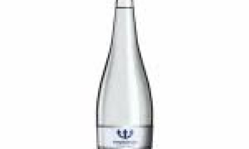 Natūralus mineralinis vanduo NEPTŪNAS, gazuotas, 330 ml