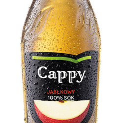 Cappy Obuoliu 0.25